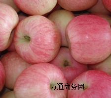 ɽ�|�H���t��ʿ�O����������