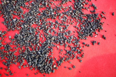 �������d�F��(j��ng)�N�̈�(b��o)�r(ji��)