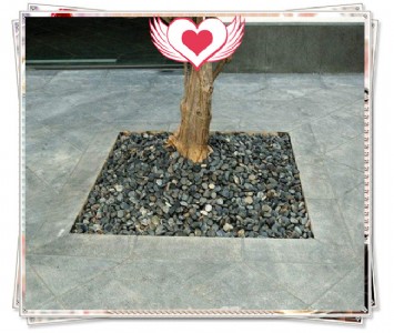 ��ɽ�@���·��Ȼ�Z��ʯ