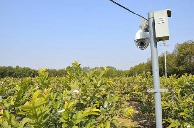 �r(n��ng)��ͨ���x��������(li��n)�W(w��ng)�C��ϵ�y(t��ng)��NTT-BCHFZ-A��