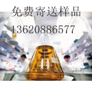 �����͚���������ù������ī����������ù��