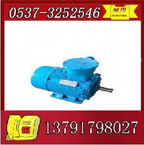 ybk2-315l2-4����늙Cֱ�N