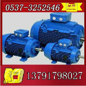 ybk2-315s-6����늙C