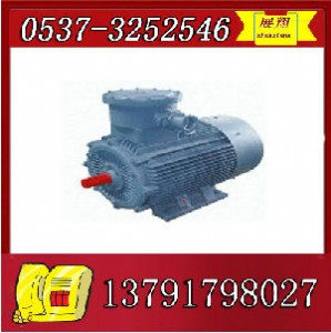 ybk2-315m-6����늙C