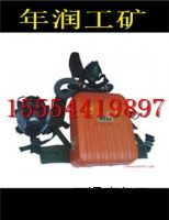 HYZ-2���^ʽ�������������