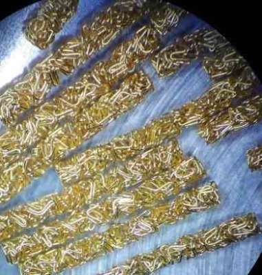 ë�~����fuzz buttons���|��