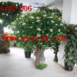 ����𻨘� ����[�O����𻨘� �V��ʥ������𻨘�