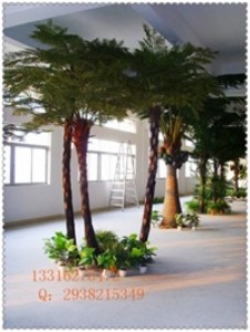 ����ɳ�_�� ����ɳ�_���~ ����ɳ�_���������ֲ��