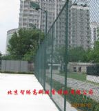 ����(y��ng)�W(w��ng)����أ��@����w������?z��)���ϵ�y(t��ng)(�D)