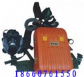 ��ʽ������������