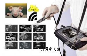 �����R�e���ܫF�ó�