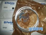 ���˹perkins���͙C(j��)����F(xi��n)؛���l(f��)���ژI(y��)�\(ch��ng)