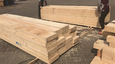 ʏ����������