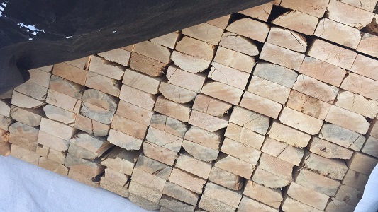 �Ͼ�3889����