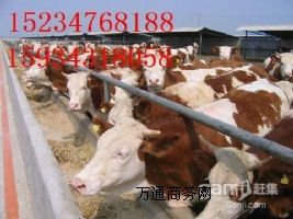 �������D�͵̓r������ţ