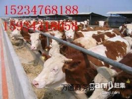 �����������D�ͼ�����ţ