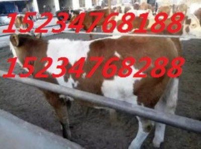 �������D�ͼ�����ţ��ţ16