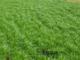 �����M�ڶ�����������