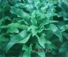 �߮a���ݸߗU���� ��÷��˹�N��