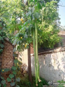 4�׳��L�z�ϷN��