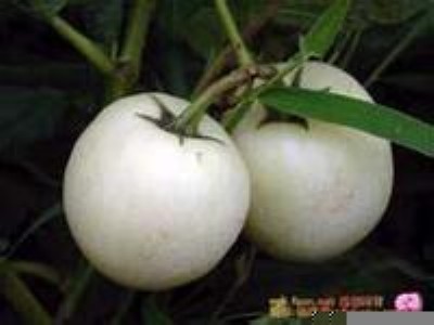 �^�p�� ���ѷN��