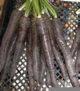 ��Ʒ�N�߲˷N���Ϻ��}���N��