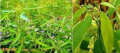 ����ݷN���������˲ݡ���ݡ������ ������������˲ݡ���ݡ�