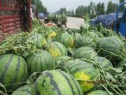 ��ˮ����