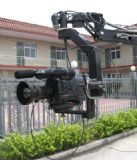 ����_������z�� ��������z��(�D)