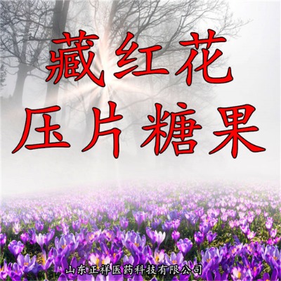 �ؼt����Ƭ ���t����Ƭ Ƭ������ Ƭ������ oem/odm