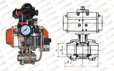 ������Ӻ������y��������y