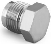 �������Swagelok��ĸSS-2-VCR-4