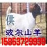 ɽ�|����ɽ���x��r�����(�D)