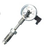 �������w�����x��(�D)