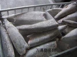 ����~�M�����P���P�M��