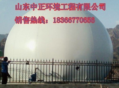 �pĤ������D  �pĤ��񌣘I���a���b