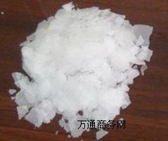 �������Ҷ������a�S�Ҿ��Ҷ����r�����