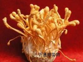 �������|�x���أ��x�������a�S�ң��x���؃r�����