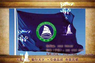 �������ǌ��ICIVI�OӋ