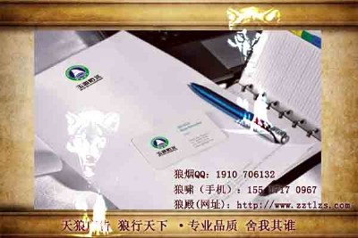 �F�ڼZ�Ͷ���Ʒ��VI�OӋ����߀��ʲô��