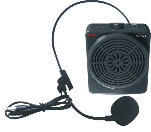 ����T-3165 �ώ���Ʒ�� �̌W�U���C(�D)