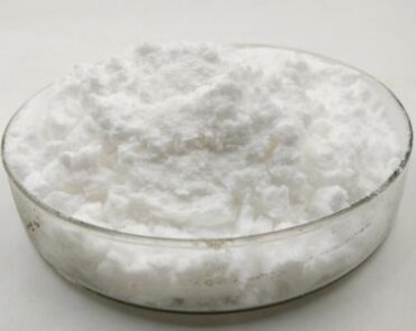 ����ԥ�dʳƷ��(j��)С���;��ăr(ji��)�� С�����ĺ�����