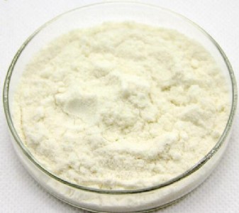 ԥ�dĵϠ�ăr�� �I�B������