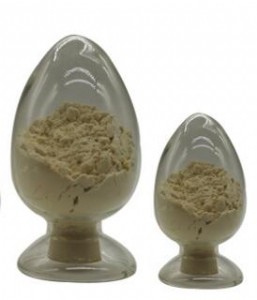 ԥ�dʳƷ���_�h����ʃr�� ��ζ��