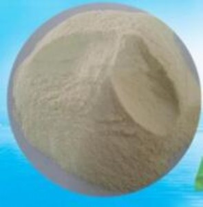 ���������Ե�����ȡ��20%���� ������