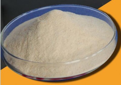 ԥ�d���zø�r�� ø�Ƅ�